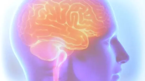 Lapsos de memória podem não significar doença mental, diz psiquiatra
