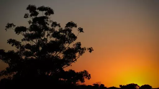 Ribeirão Preto tem alerta de baixa umidade do ar nesta sexta-feira