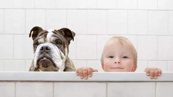 O lado bom de ter um animal de estimação