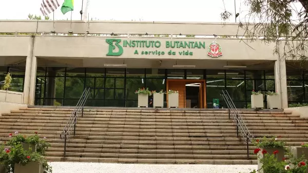 Covid-19: Butantan identifica nova variante recombinante em SP