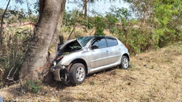 Mulher morre após colisão de carro em árvore em rodovia de Descalvado. (Foto: Divulgação/g1 São Carlos) - Foto: Divulgação