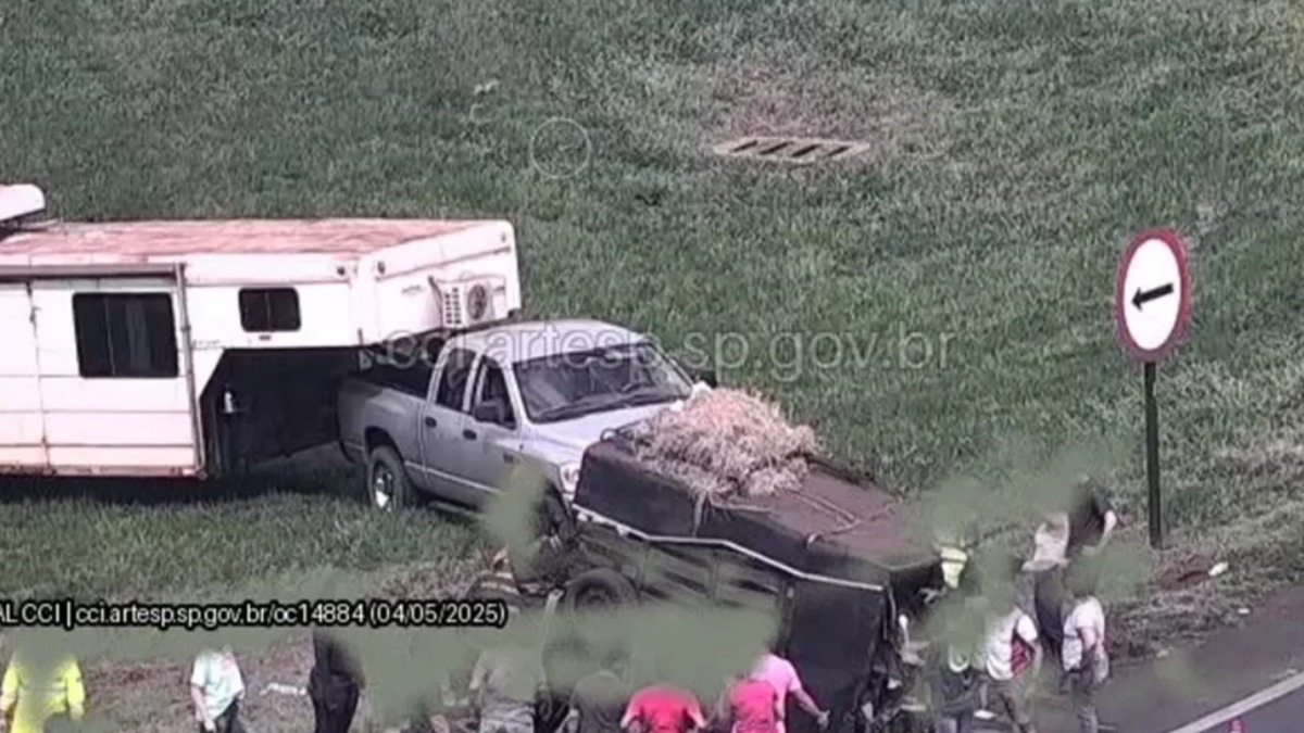 Engate de reboque se quebra e deixa dois cavalos feridos no Anel Viário Sul, em Ribeirão Preto