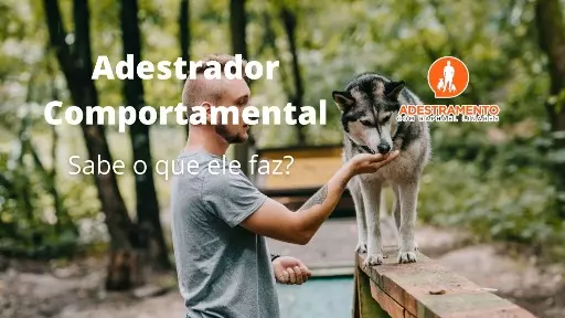 O que é o adestramento comportamental?
