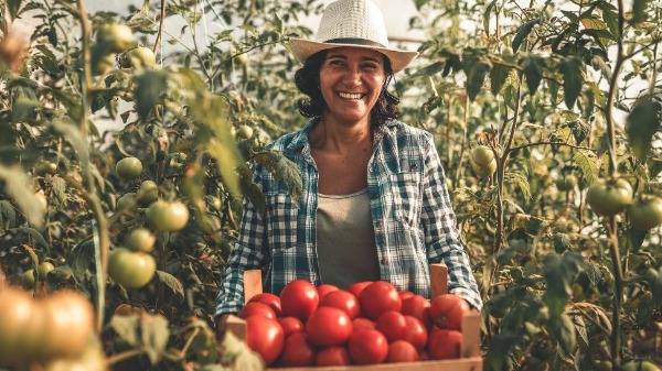 O agronegócio também é lugar para as mulheres