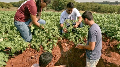 Conheça as carreiras que melhor remuneram os estagiários