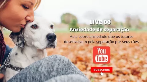 Você sofre de ansiedade de separação dos seu cão! Aula Especial!