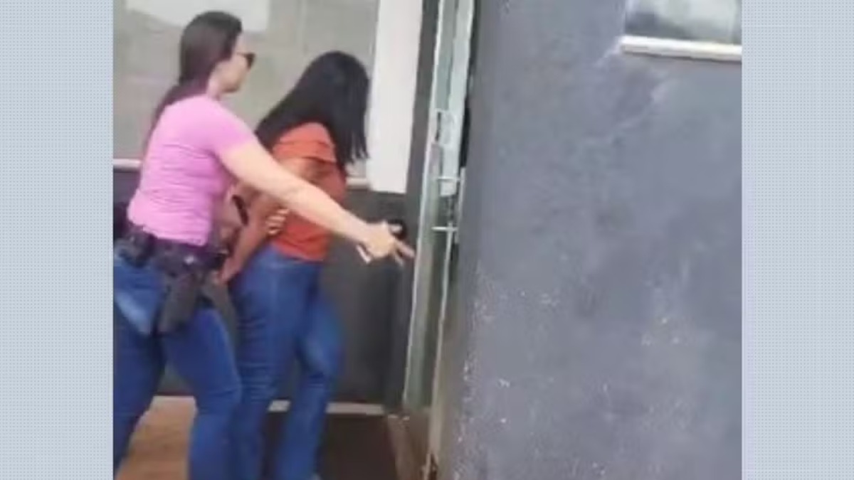Justiça condena mulher a prisão pela morte de cinco gatos em São Joaquim da Barra em 2024