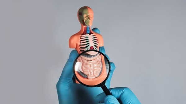 O impacto do intestino na saúde mental