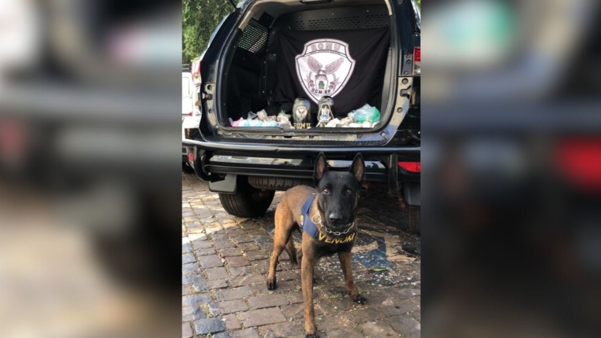 Canil da GCM apreende mochila com drogas no bairro Vila Elisa, na zona Norte de Ribeirão Preto