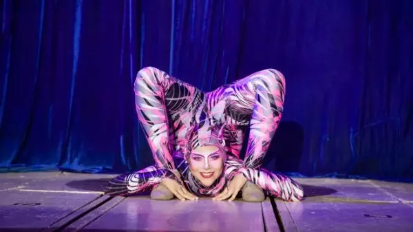 Araraquara recebe o espetáculo "Circo dos Sonhos"