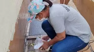 Araraquara ultrapassa os oito mil casos de dengue em 2022