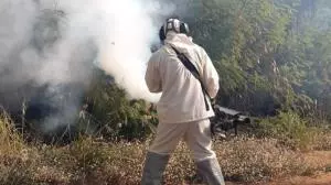 Com 331 novos registros, Araraquara soma 14,7 mil casos de dengue
