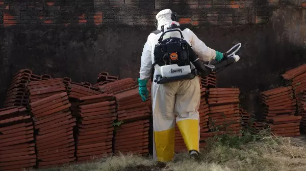 Araraquara está com quase 13 mil casos de dengue em 2022