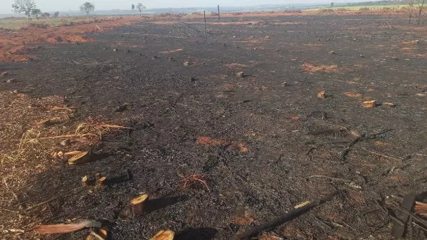 Proprietário rural é multado por queimada em Boa Esperança do Sul