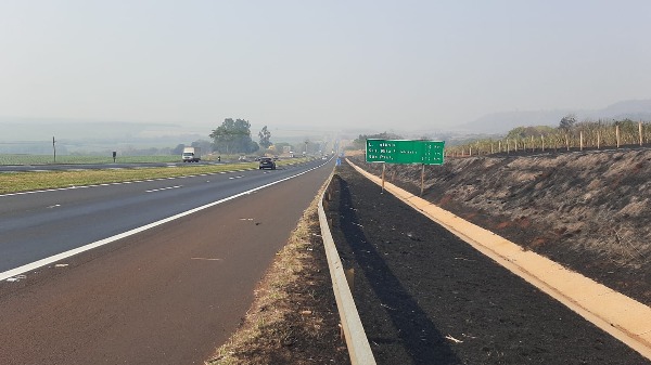 Área queimada às margens da rodovia Anhanguera em São Simão - Foto: Samuel Santos/ CBN Ribeirão
