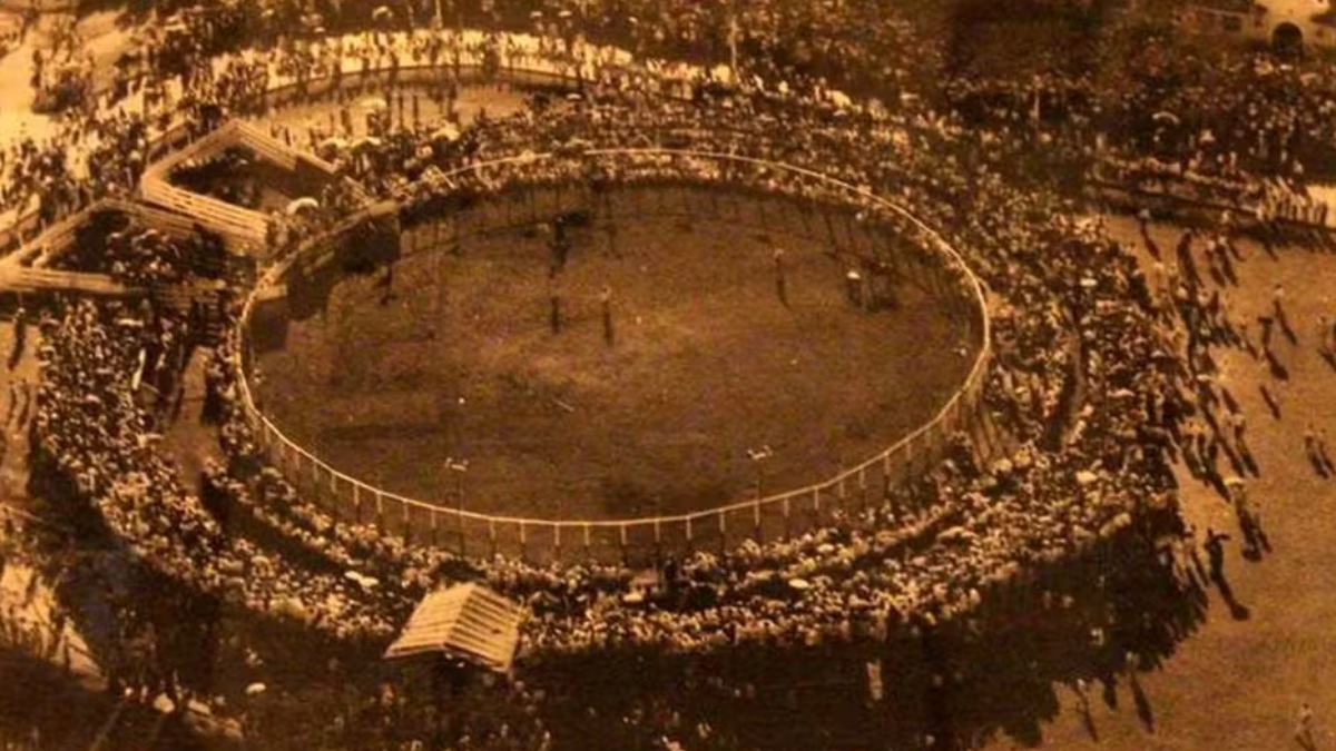 No palco ou na arena, muitas celebridades passaram pelos 70 anos da Festa do Peão de Barretos