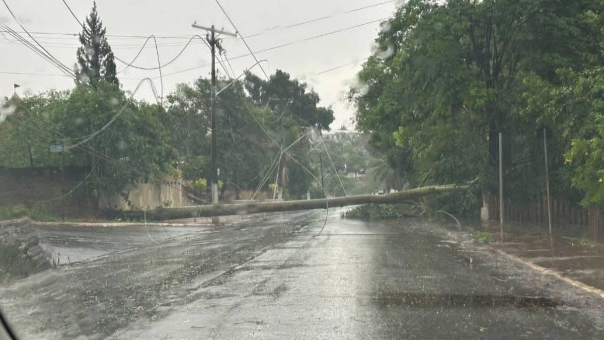 CPFL realiza trabalho de rescaldo após fortes chuvas na região de Ribeirão Preto