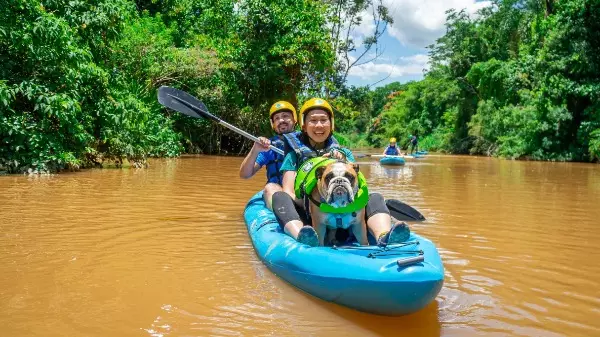Parque de aventura oferece atividades com os pets em Socorro