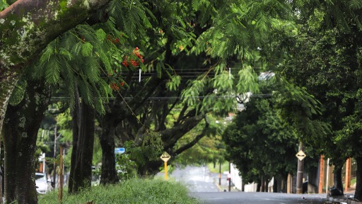 Araraquara não registra morte por covid-19 nas últimas 24 horas