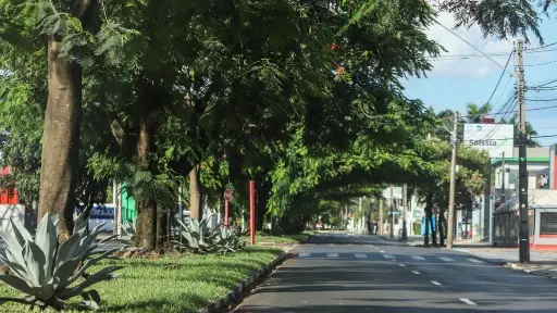 Covid-19: 36 novos casos; 11% das amostras analisadas em 24h