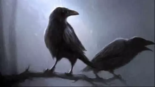 Olga Vê e Hilda Ouve As Aves da Noite