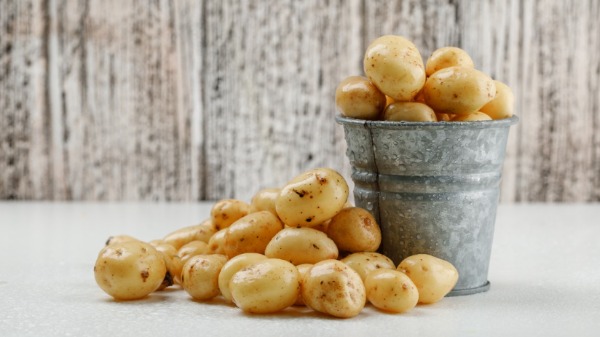 O assunto de hoje é batata! Sim, batata!