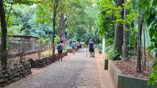 Ribeirão: Confira opções de lazer para este final de semana