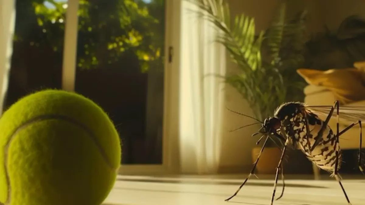 Agência Versão Br adota IA para alertar a população sobre a proliferação do mosquito da dengue em campanha para Prefeitura de Ribeirão Preto (SP) - Crédito: Divulgação