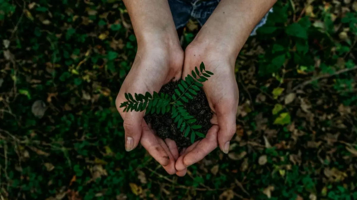 Preocupação com a sustentabilidade atrai público consumidor
