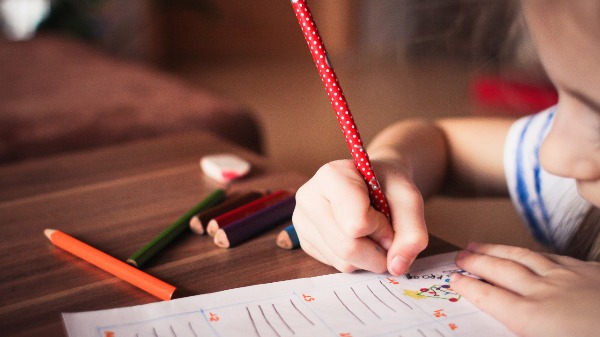 Homeschooling: aprender na escola vai além de ler e escrever