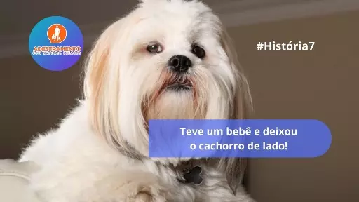 Teve um bebê e deixou o cachorro de lado - #História7