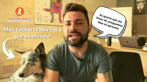 Meu cachorro não faz o que eu mando!