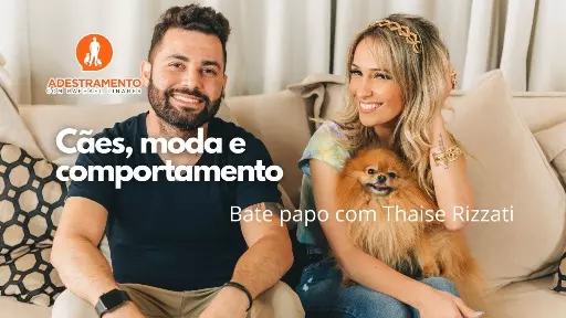 Cães, moda, comportamento! O que tem em comum?