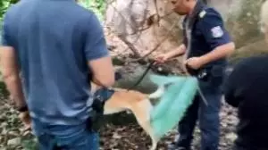 Chinelo é achado durante buscas por assassino de estudante