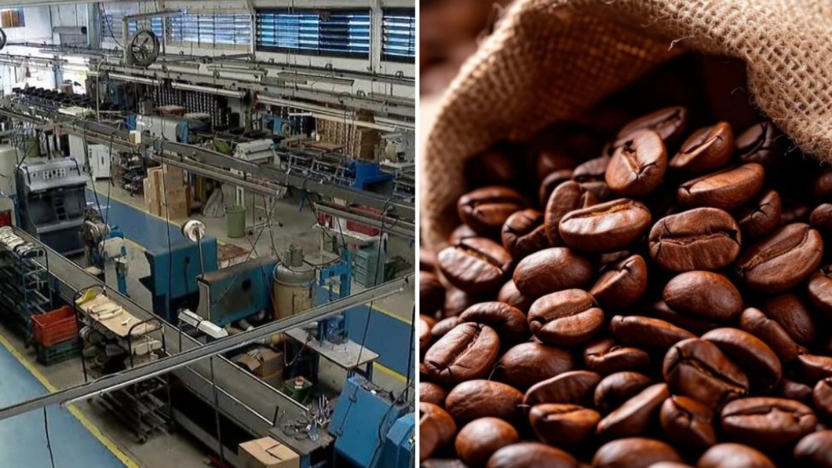 Franca registra número maior de exportações de café do que de sapatos no primeiro trimestre