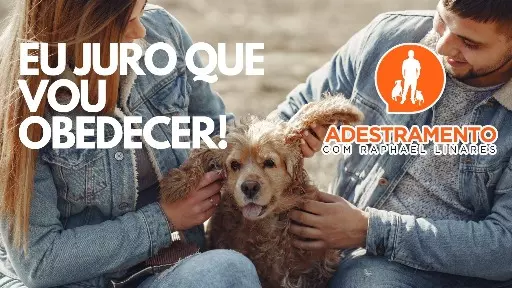 Bem-vindo ao ADESTRAMENTO