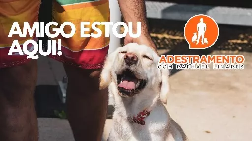 Dia do amigo com seu VERDADEIRO melhor amigo