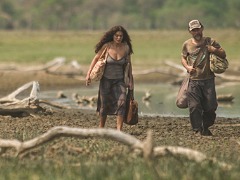 Pantanal já tem presença de 5 marcas