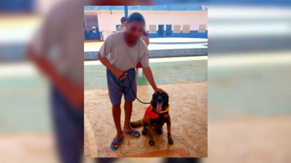 Como a terapia assistida por animais ajuda na melhoria de estados emocionais e psicológicos?