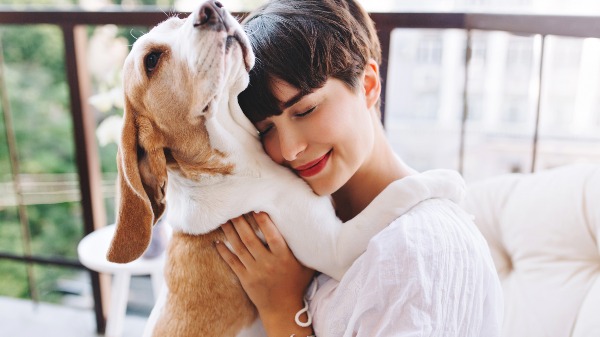 Você sabia que interagir com pets pode fortalecer ondas cerebrais relacionadas ao relaxamento?