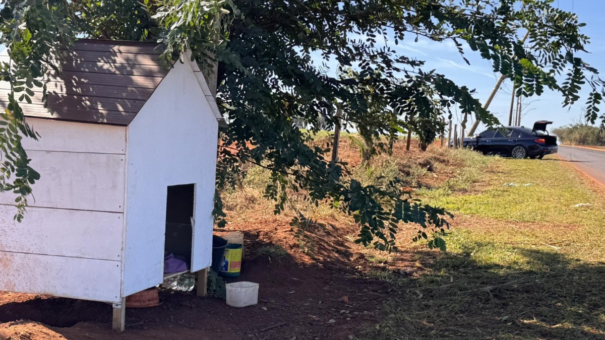 Motorista bate contra poste ao tentar desviar de cachorros na vicinal da prainha de Miguelópolis