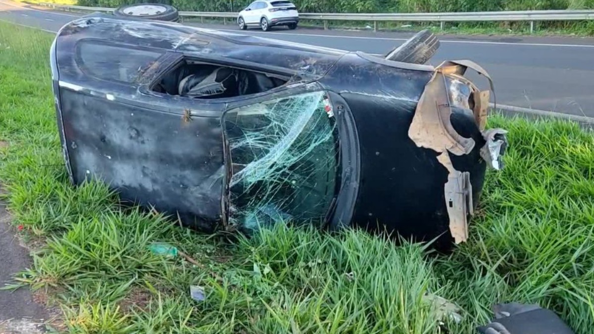 Motorista fica ferido após atropelar vaca e carro capotar na rodovia Fabio Talarico
