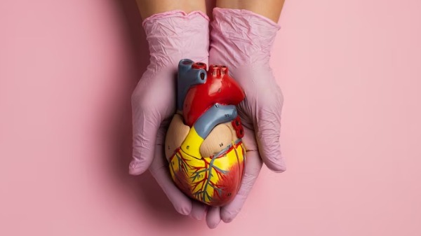 Brasil conta com o maior programa público de transplante de órgãos, tecidos e células do mundo, sendo o segundo maior transplantador mundial. (Foto: Reprodução/Freepik) - Foto: Divulgação