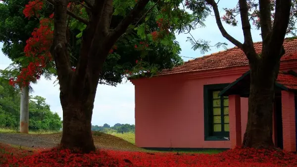Centro Cultural Casarão, em Barão Geraldo, terá dois espetáculos no final de semana