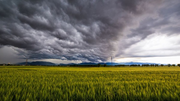 Primavera chega com promessa de mudança de cenário para o agronegócio brasileiro - Foto: zakaz86 de Getty Images Pro/Canva