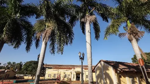 Mulher de 57 anos morre com covid-19 em Rincão