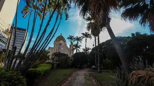 Araraquara chega ao 6º dia sem registrar morte por covid