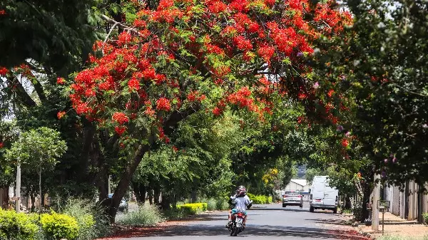 Araraquara zera internações por covid-19 em UTI
