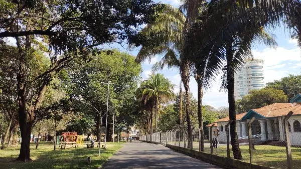 Covid-19: Araraquara não registra morte pelo 3º dia seguido