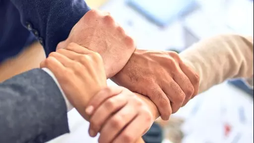 A colaboração como importante ferramenta de sucesso